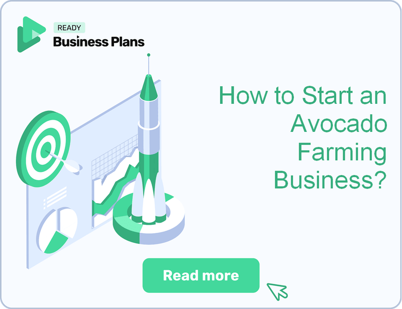 How to Start an Avocado Farming Business?