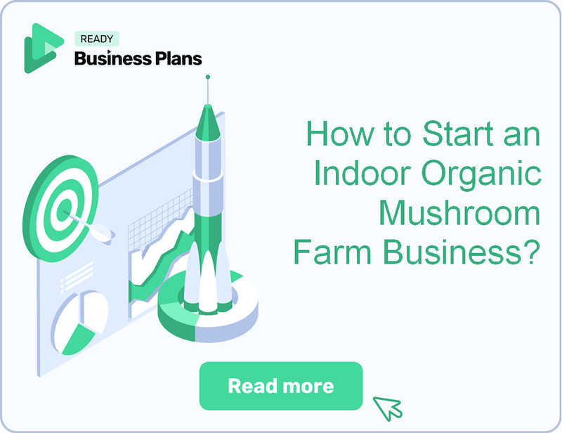 How to Start an Indoor Organic Mushroom Farm Business