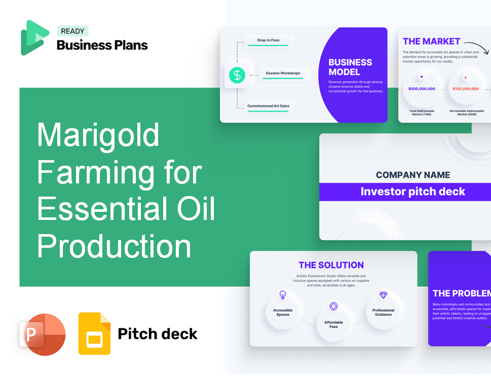 Marigold Farming for Essential Oil Production Pitch Deck
