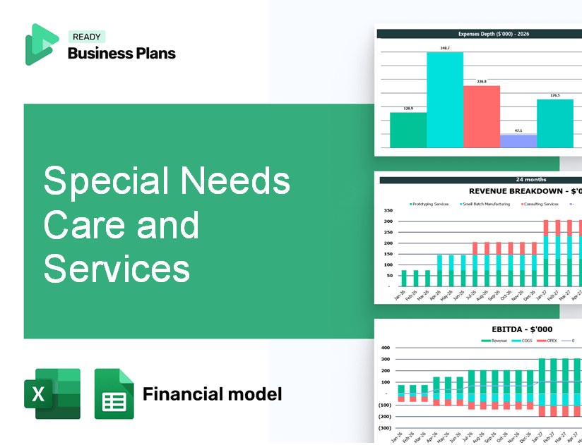 Special Needs Care and Services Financial Model